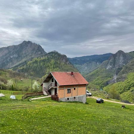 Family Owned Self Sufficient Eco Farm Tara Pljevlja Exterior foto