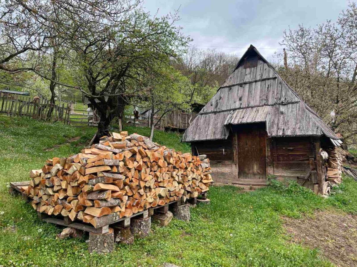 Family Owned Self Sufficient Eco Farm Tara Pljevlja Exterior foto