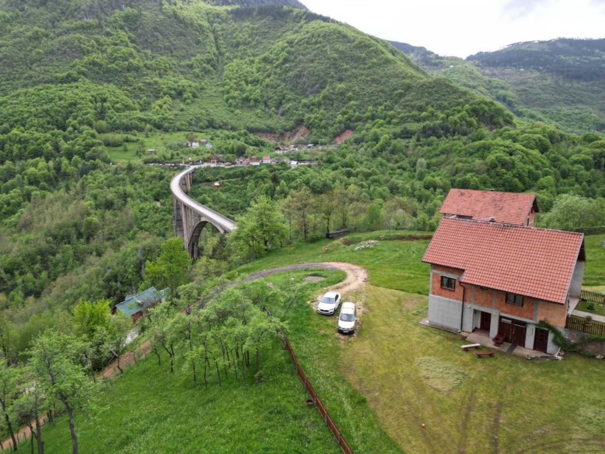 Family Owned Self Sufficient Eco Farm Tara Pljevlja Exterior foto