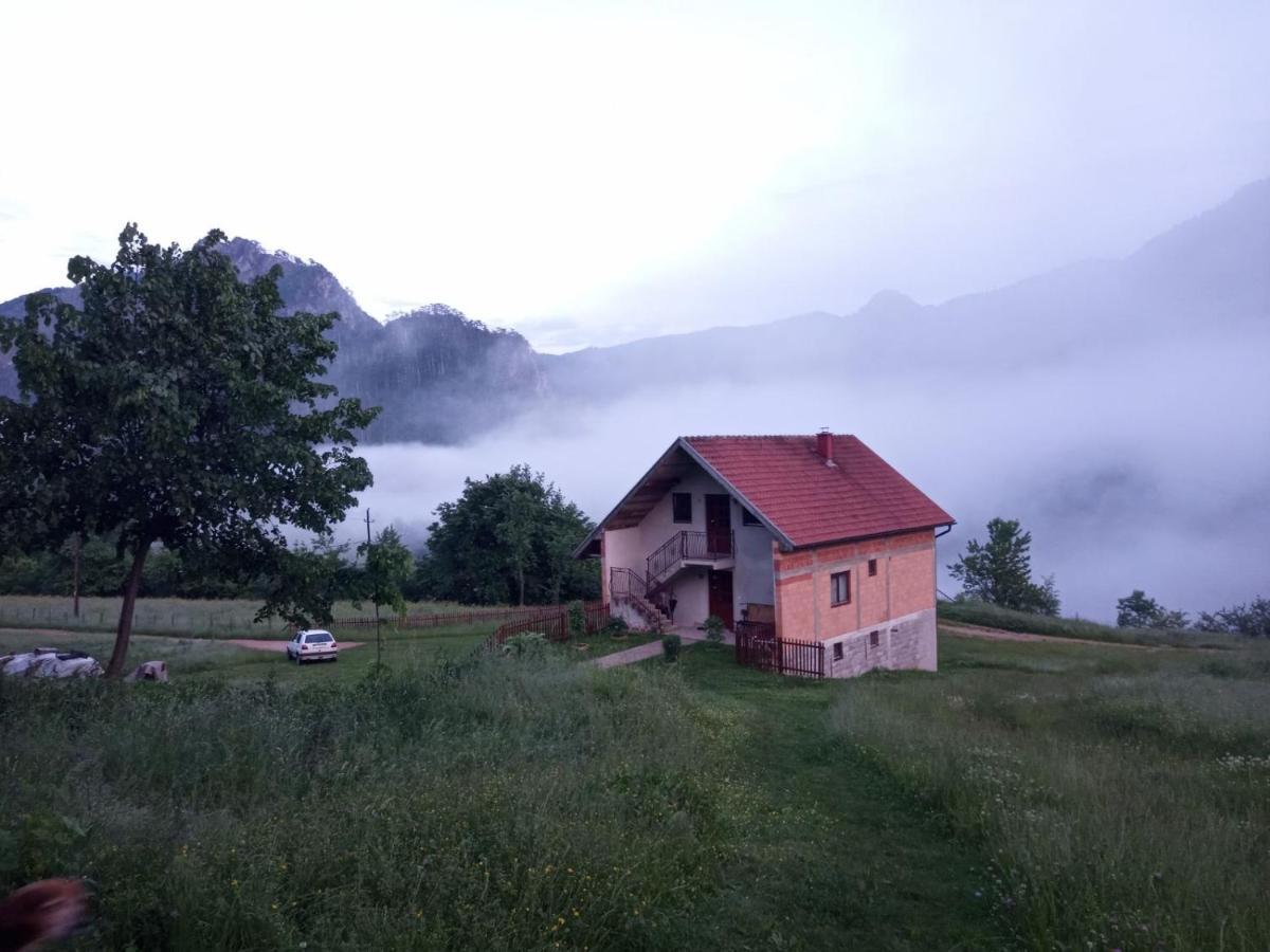 Family Owned Self Sufficient Eco Farm Tara Pljevlja Exterior foto