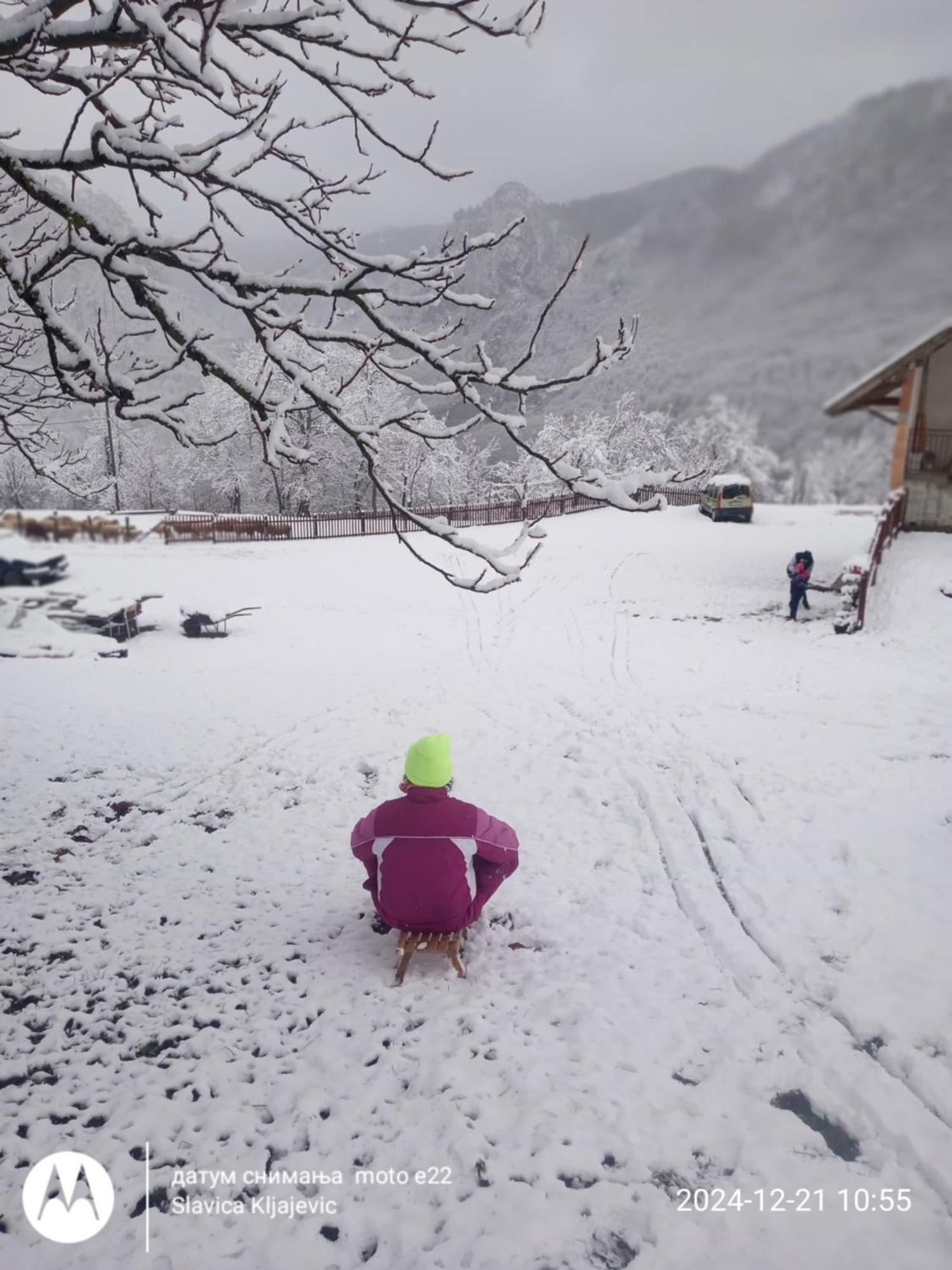 Family Owned Self Sufficient Eco Farm Tara Pljevlja Exterior foto