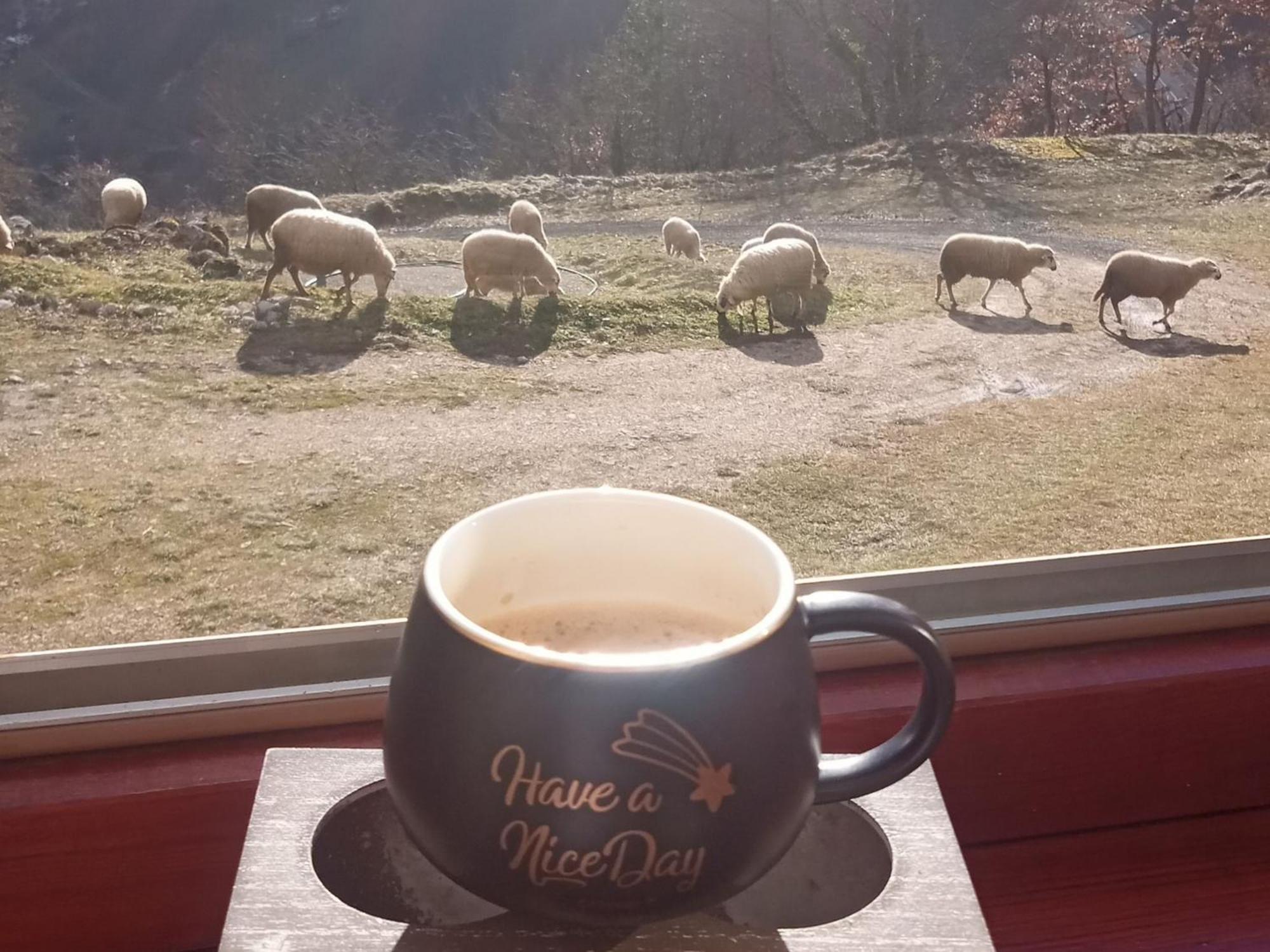 Family Owned Self Sufficient Eco Farm Tara Pljevlja Exterior foto